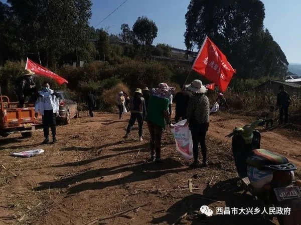 北京大兴动迁最新动态资讯