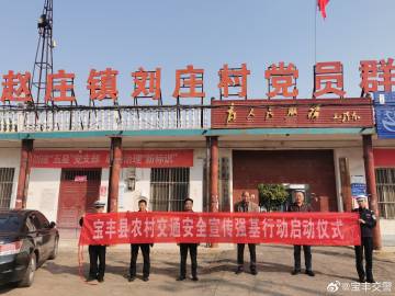 河南宝丰赵庄最新商机深度分析与展望，未来商机展望及趋势预测​​​​