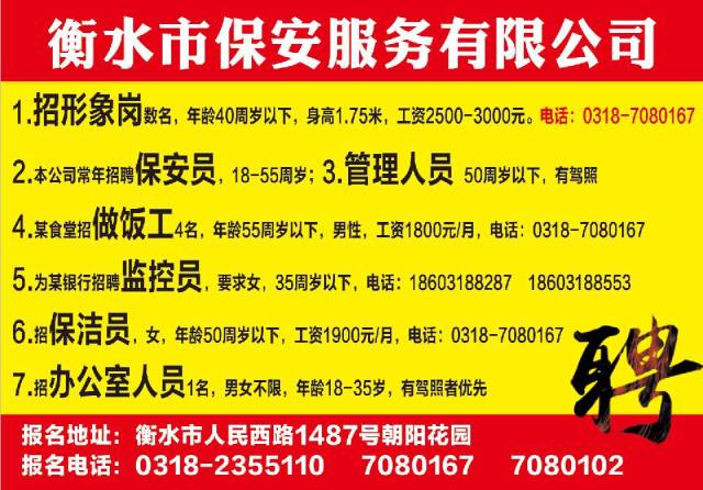 安平今日招聘信息，时代的脉搏与人才的交汇舞台