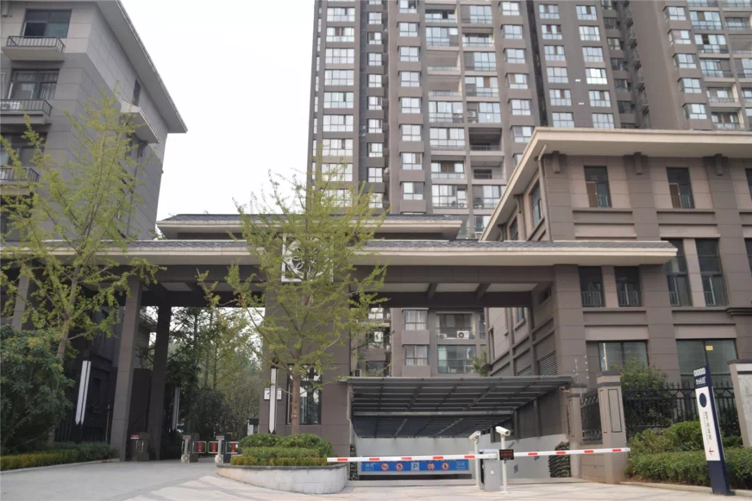 豫中桂园最新资讯，见证历史变迁与时代风采